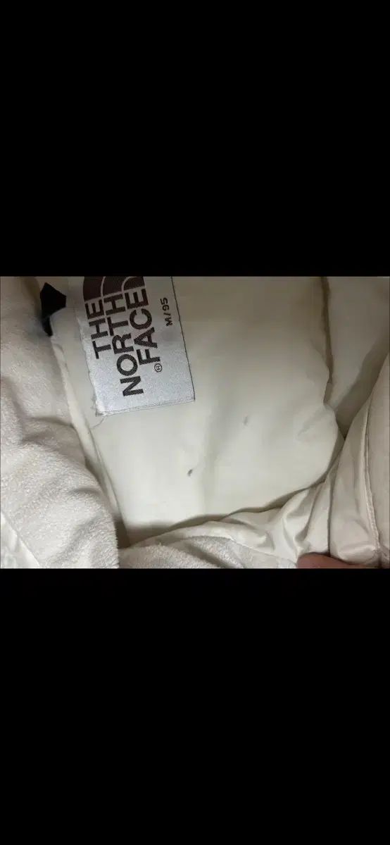 ザノースフェイス