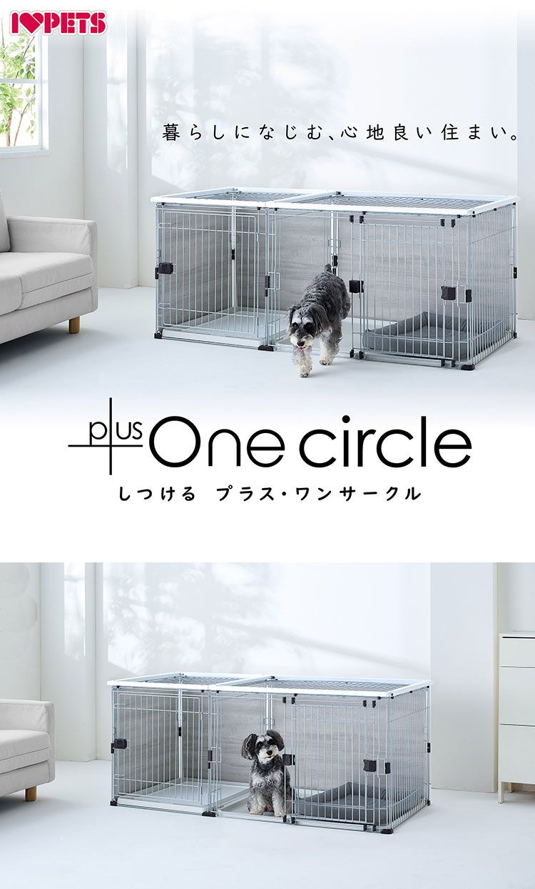 ケージ ゲージ