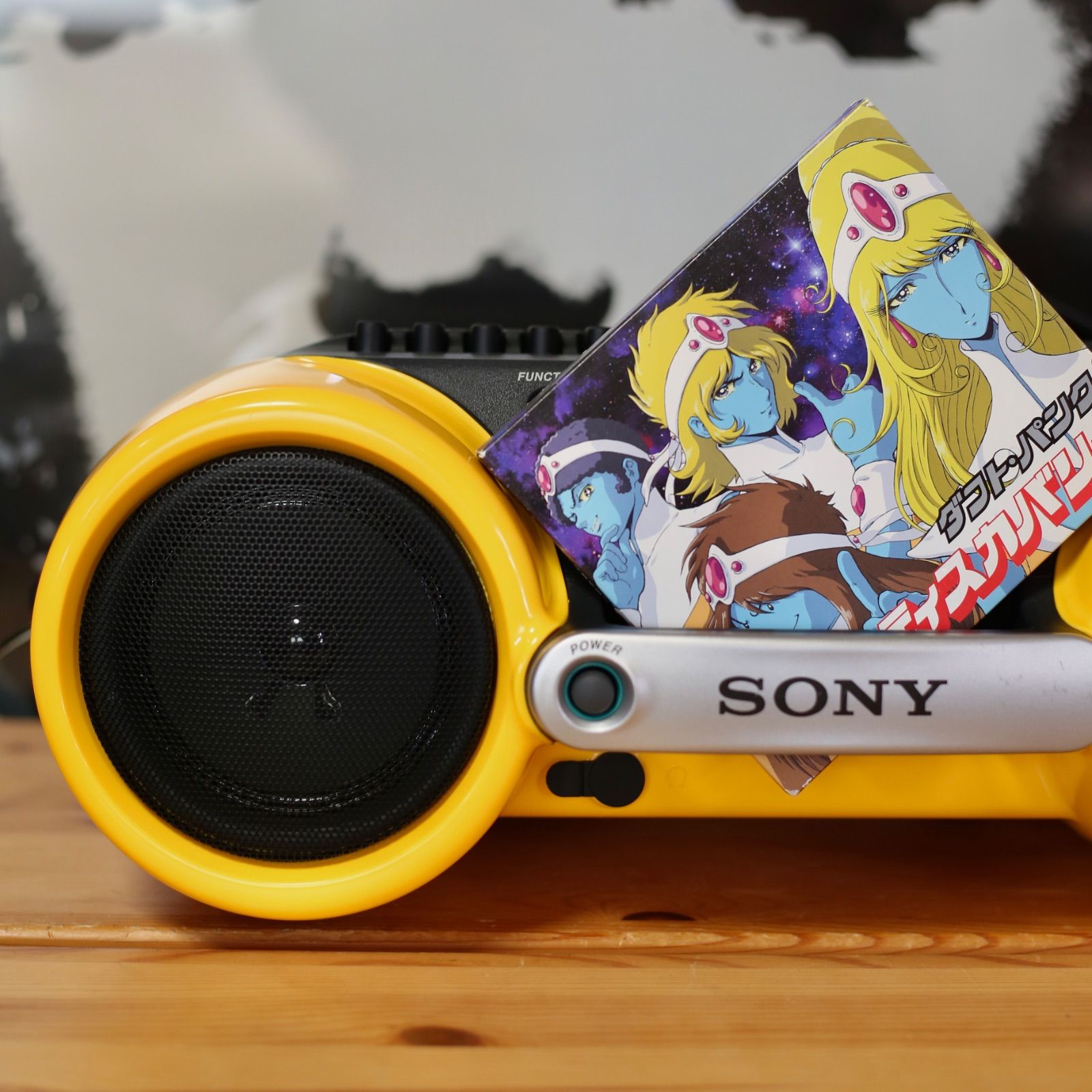 SONY SPORTS CFD-980