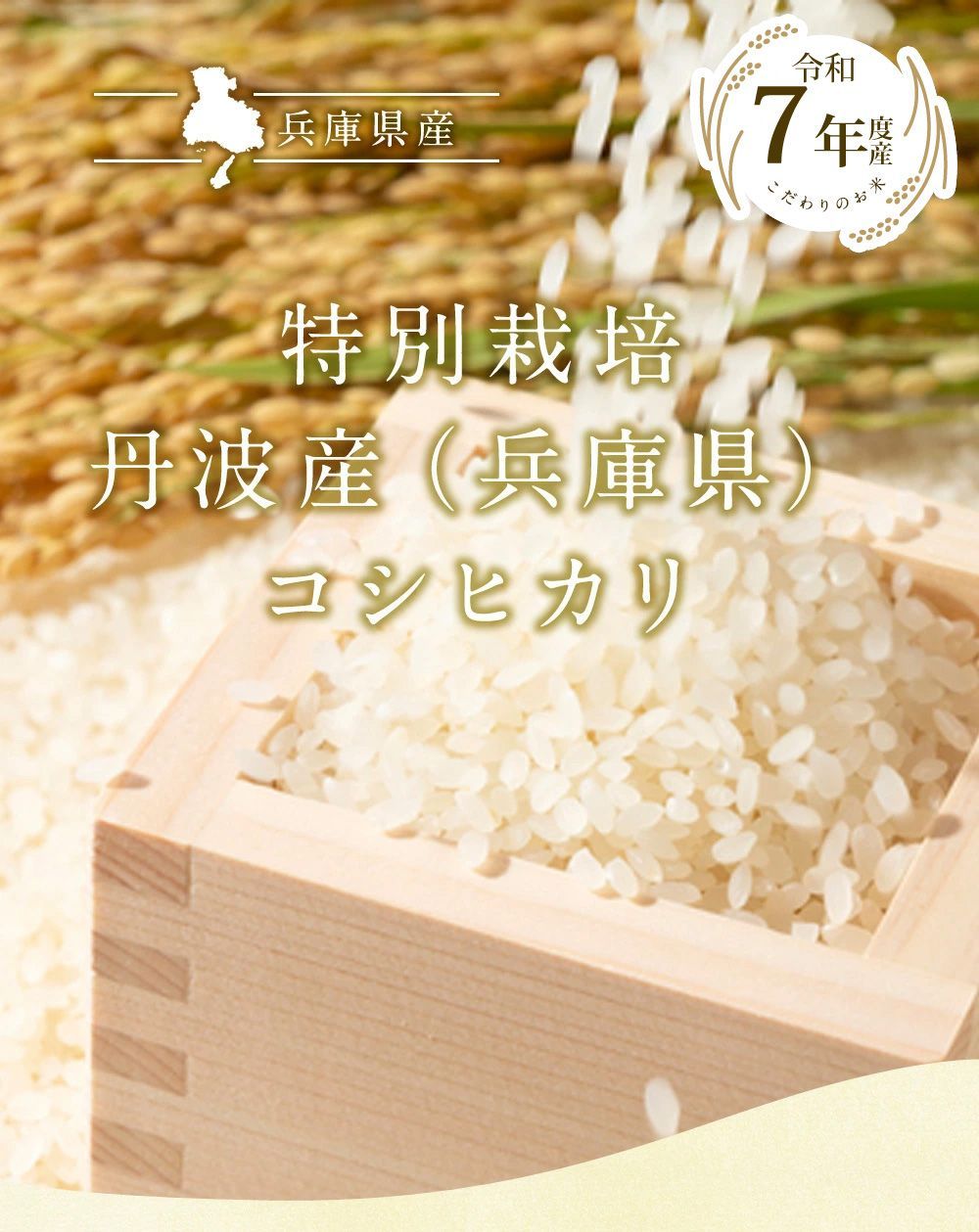 令和7年 特別栽培 丹波産（兵庫県）コシヒカリ10kg（5kg×2袋）送料無料