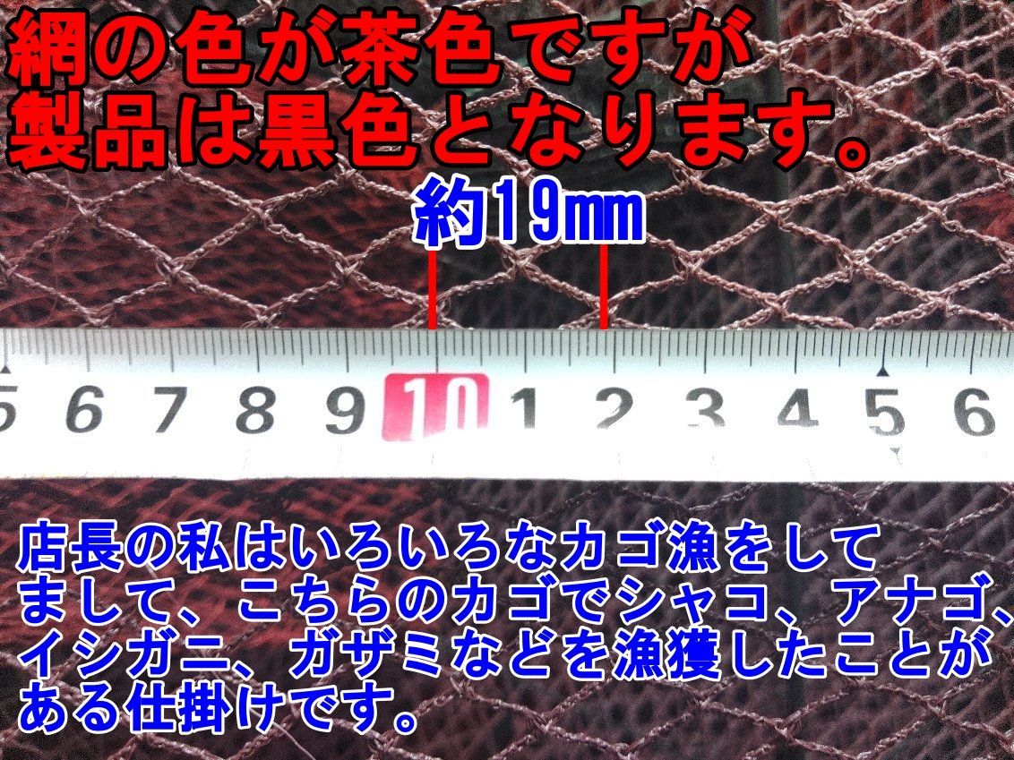 魚捕り