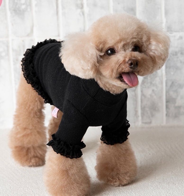 GODPIVA モノトーンフリルチェックワンピース 春 犬服 女の子 GODPIVA モノトーンフリルチェックワンピース 春 犬服 女の子