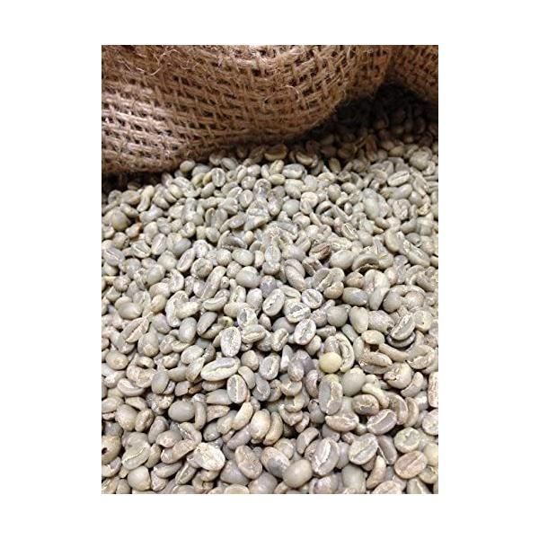 コーヒー生豆】モカ シダモ エチオピア 10kg ※送料無料！！ コーヒー