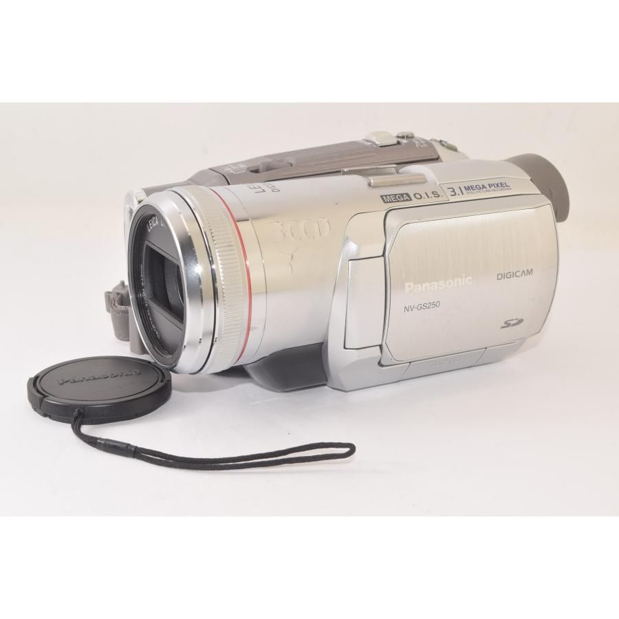 パナソニック PANASONIC NV-GS250 デジタルビデオカメラ 【公式通販】
