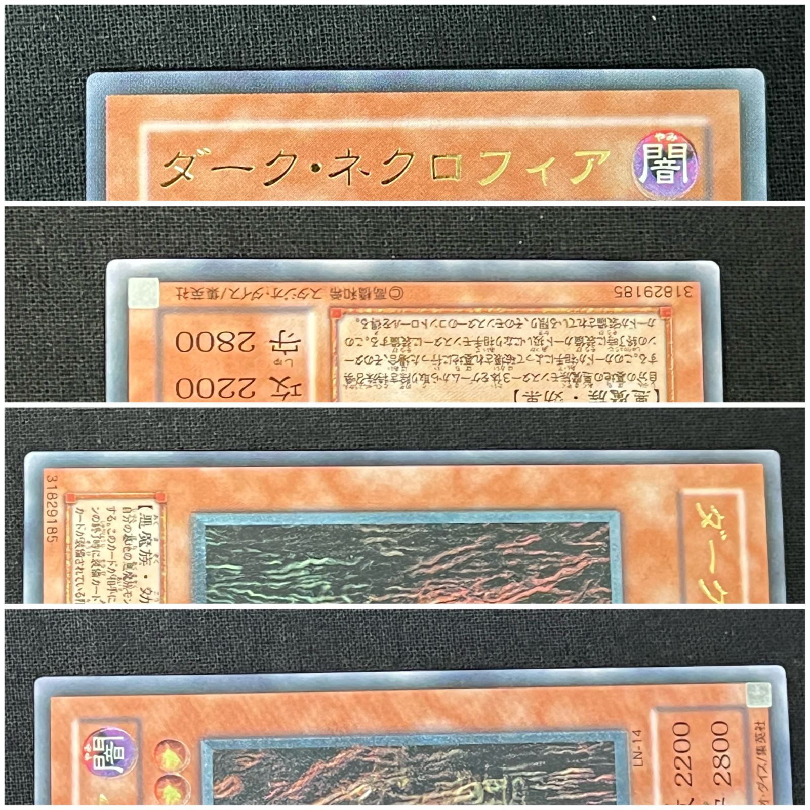 浜館49-50】 遊戯王カード ダーク・ネクロフィア 旧枠 LN-14 レリーフ