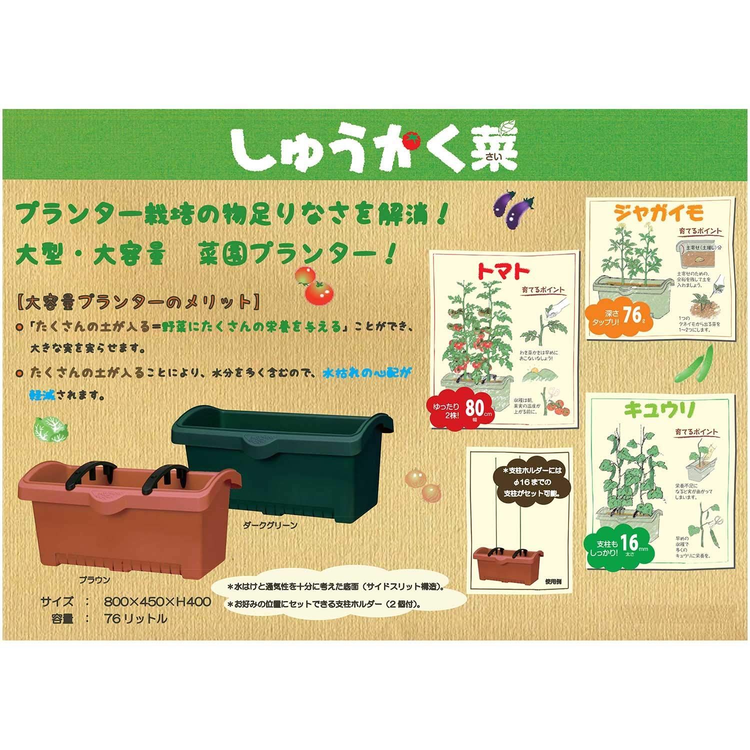 ダークグリーン