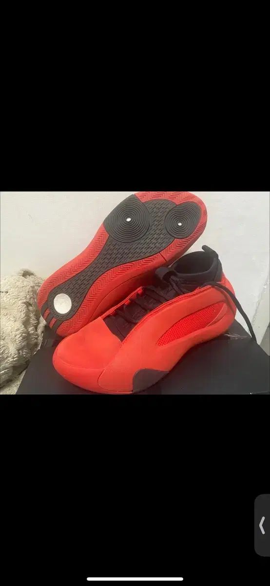 アディダス バスケシューズ ハーデン8 レッド 260