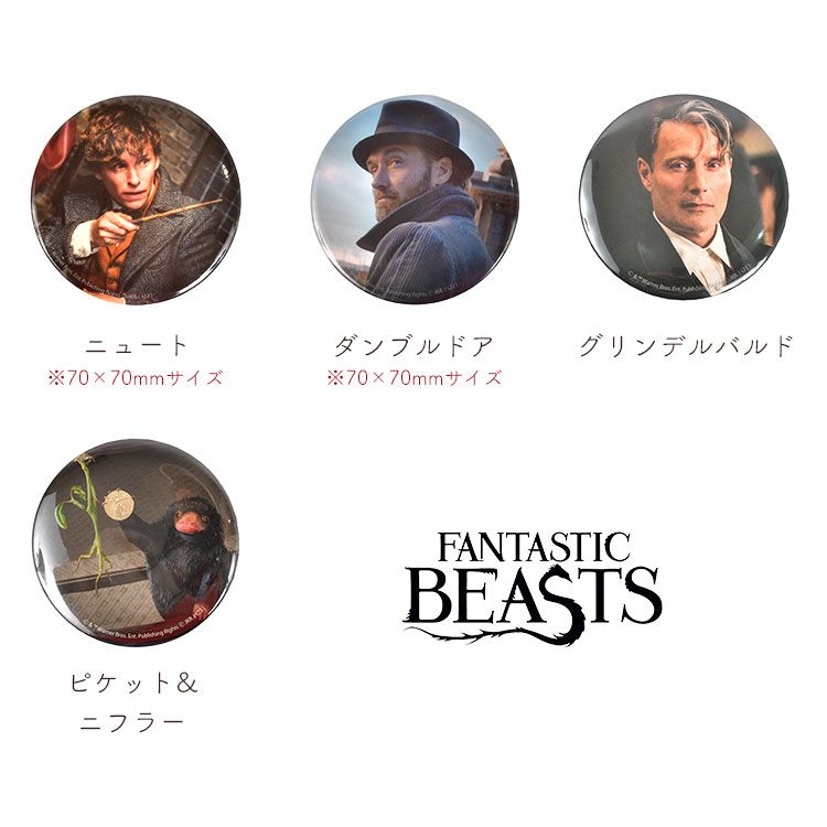 フィルムアート 缶バッジミラー ファンタスティックビースト