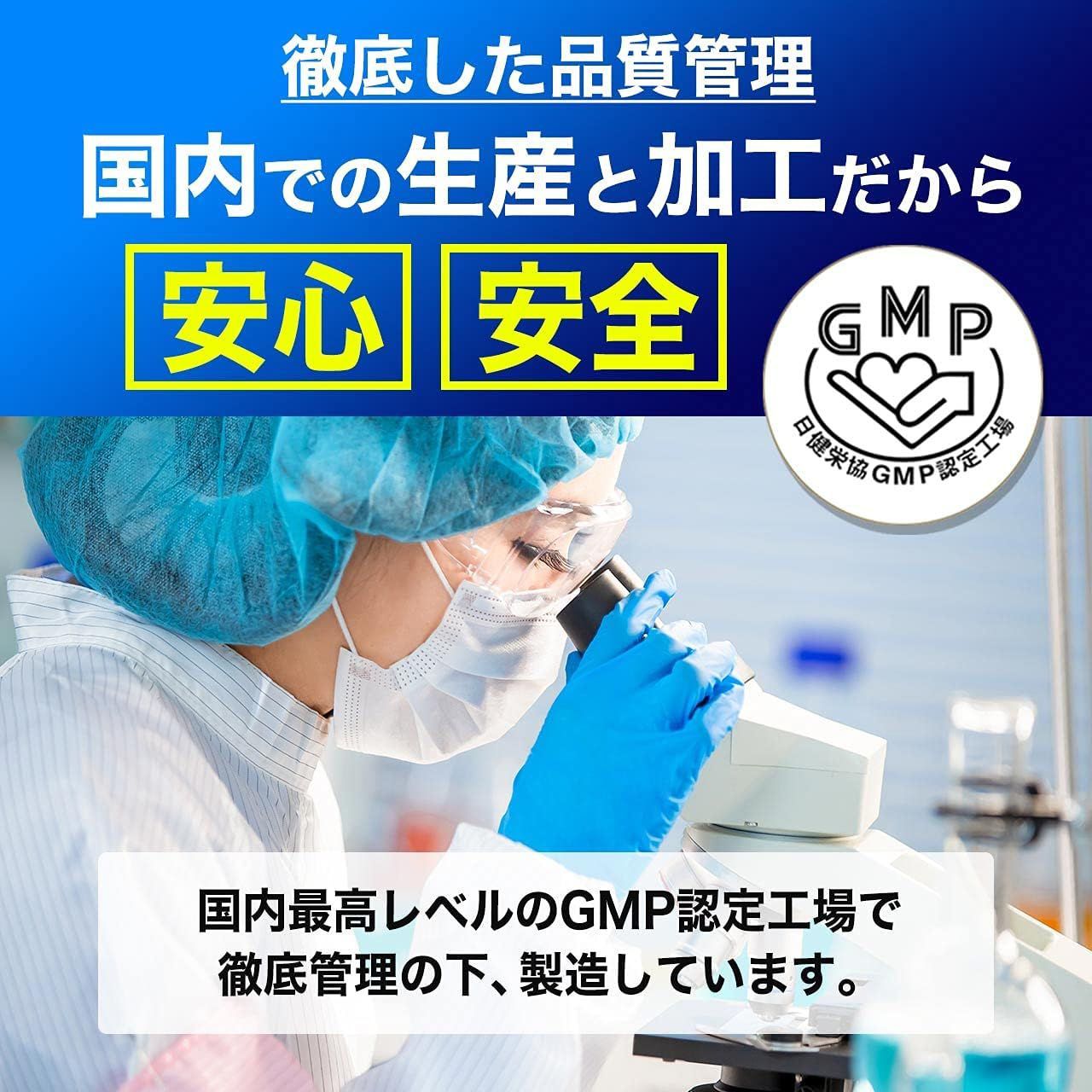 馬睾丸 日本