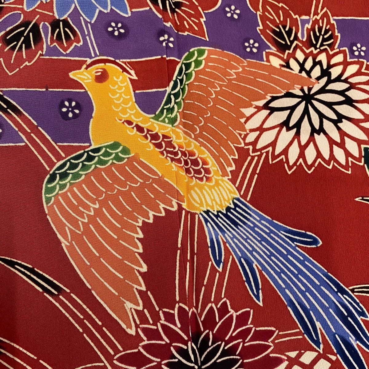 身丈160cm