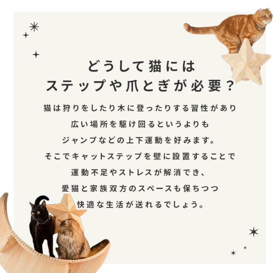 マイズー