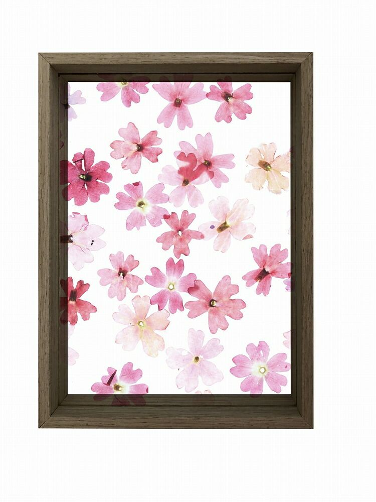 クリアフレーム フロートフレームI ブラウン A4(Float Frame Brown)/額入り 絵画 絵 壁掛け アート  インテリア かわいい 壁飾り 癒やし プレゼント ギフト アートパネル ポスター アートフレーム 