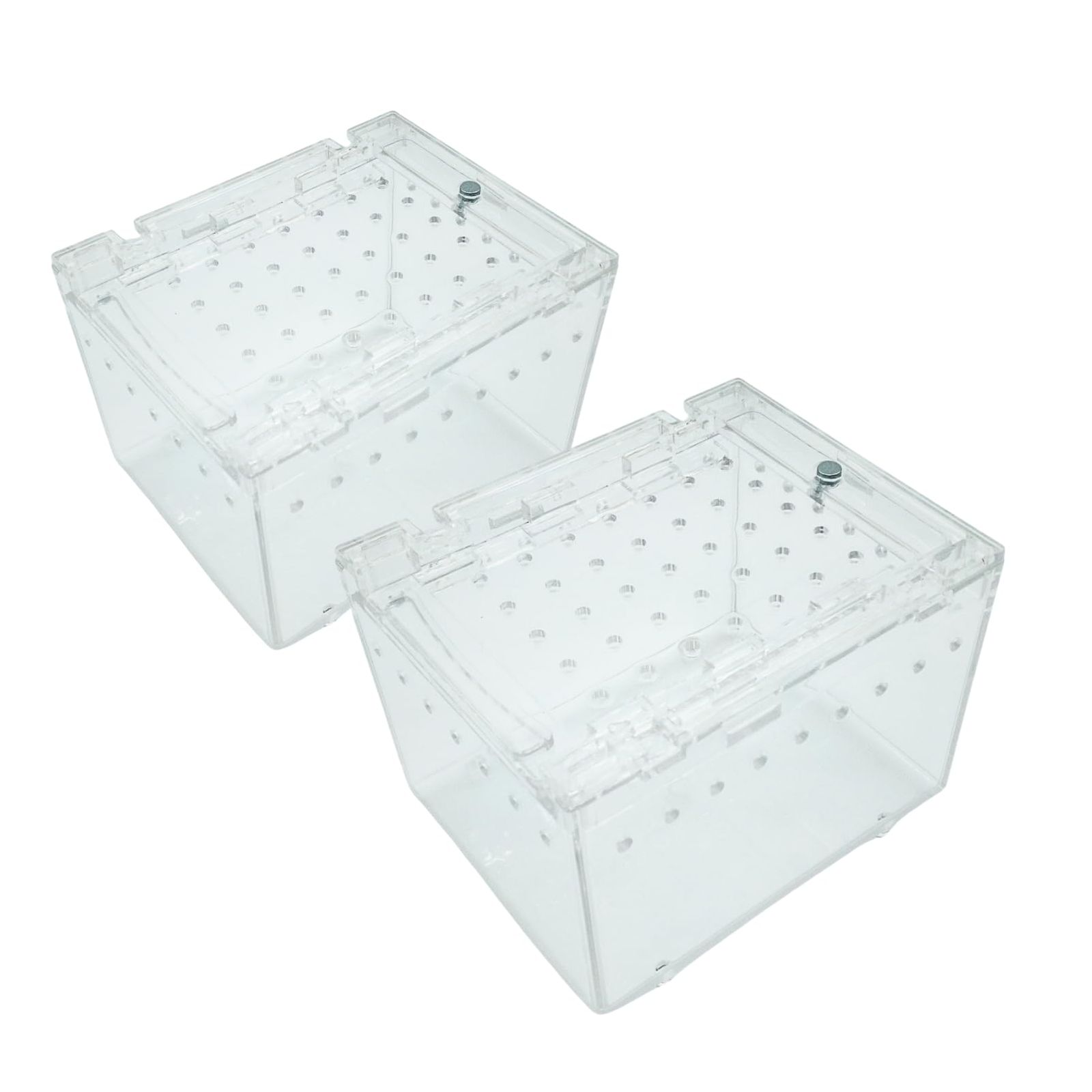 COZENTA 爬虫類 ケージ シェルター アクリル製 トカゲ 蛇 サソリ