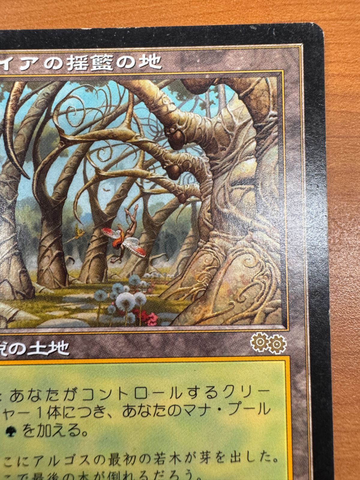 ☆値下げ中☆　MTG　マジックザギャザリング　ガイアの揺籃の地　日本語版 マジック・ザ・ギャザリング ガイア揺籃の地