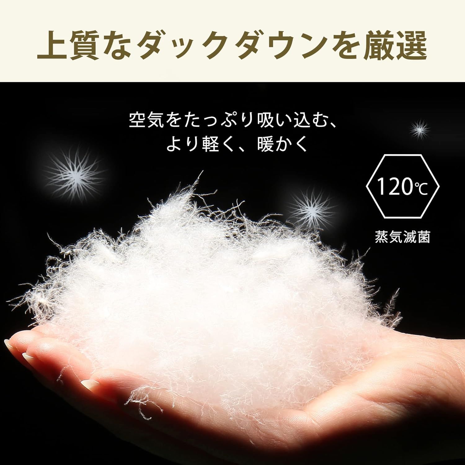 防風 コンパクト