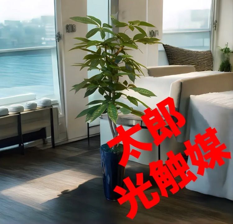 光触媒 人工観葉植物 ウォールグリーン フェイクグリーン スリムパキラ