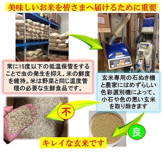 減農薬　新潟こしひかり白米90kg　新潟県三条市旧しただ村産　特別栽培米100% 令和6年産新米 減農薬 新潟こしひかり玄米30kg 新潟県三条市旧