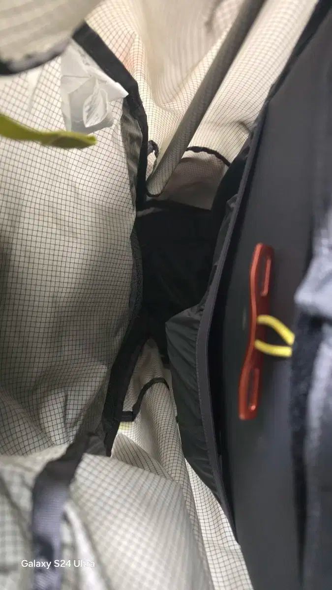 ビッグ アグネス