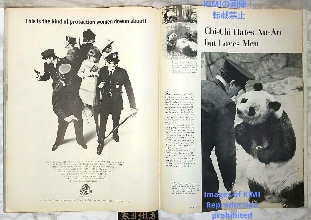 希少 ライフ マガジン 雑誌1966 11月14日 昭和41年11月14 胡燕妮