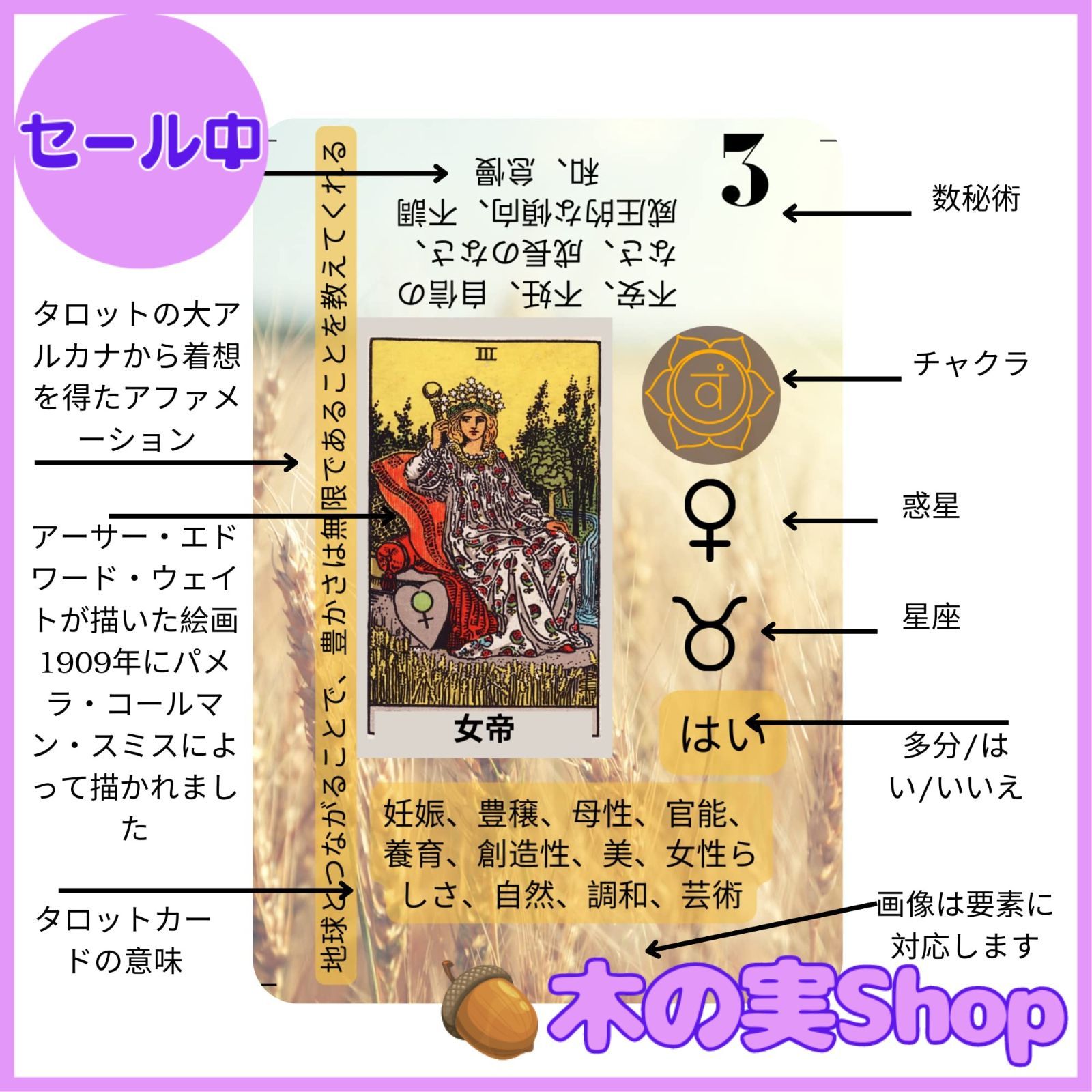 【正規品タロットカード】正逆の両方の二面性が描かれた分かりやすいデッキ 812zKqwW88L._UF894,1000_QL80_.jpg