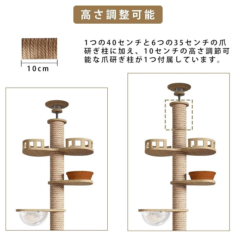 Amazon | 猫家族 突っ張り強化設計 倒れない キャットタワー