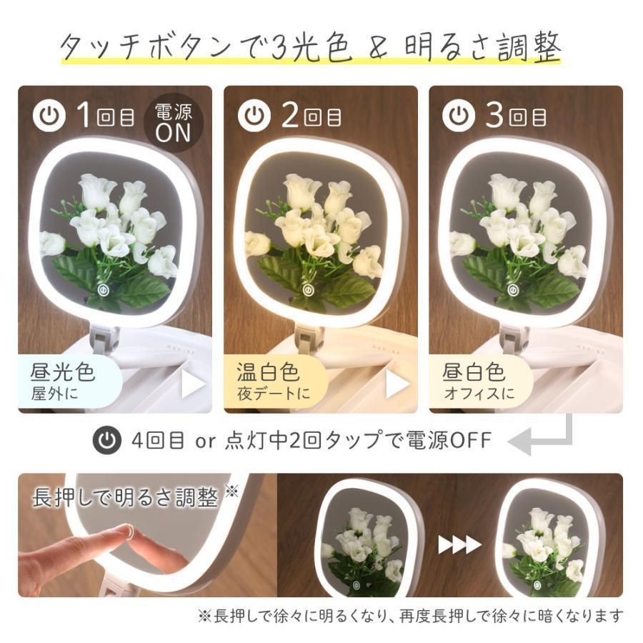 女優ミラー