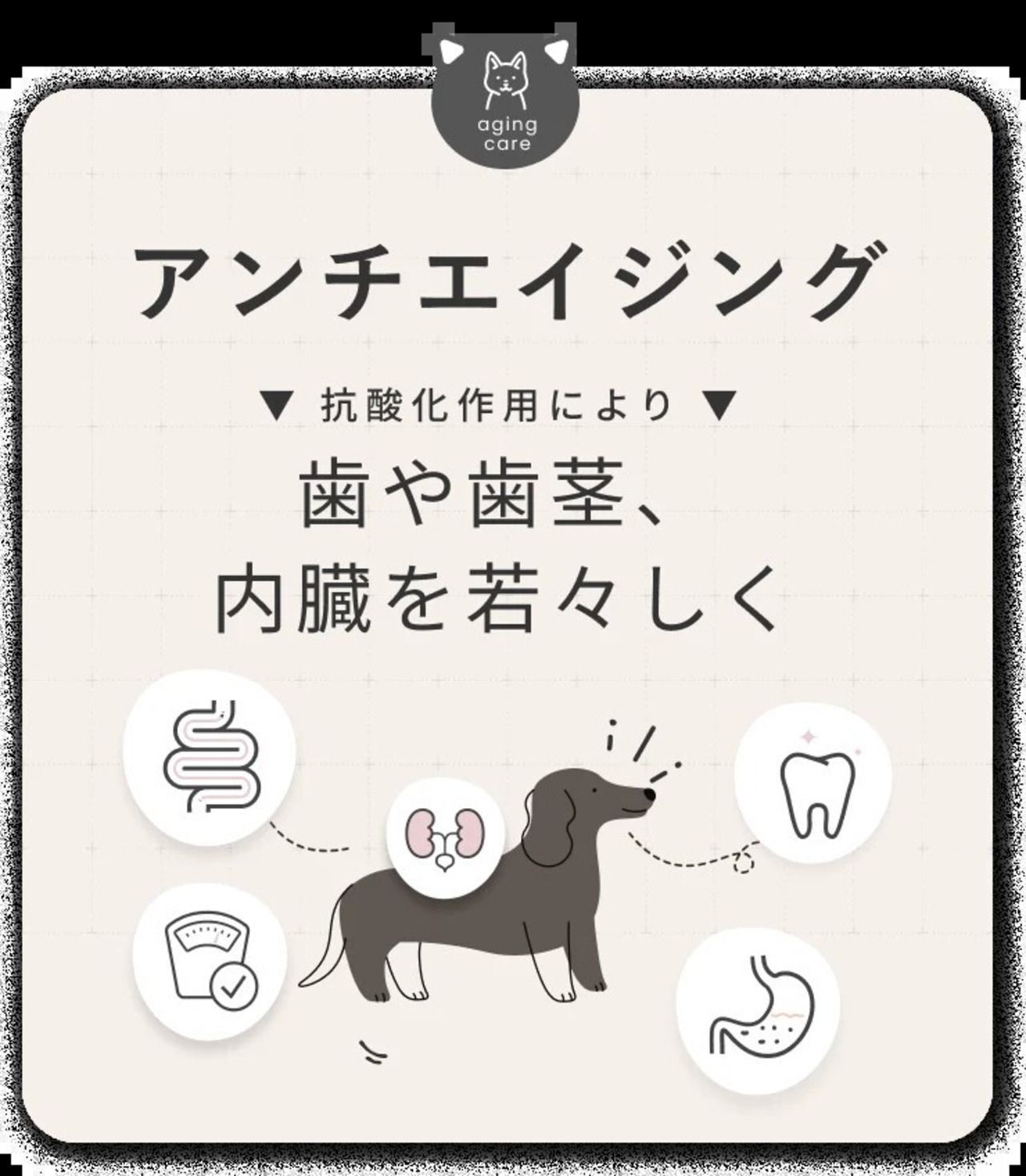 シルクフル 犬用