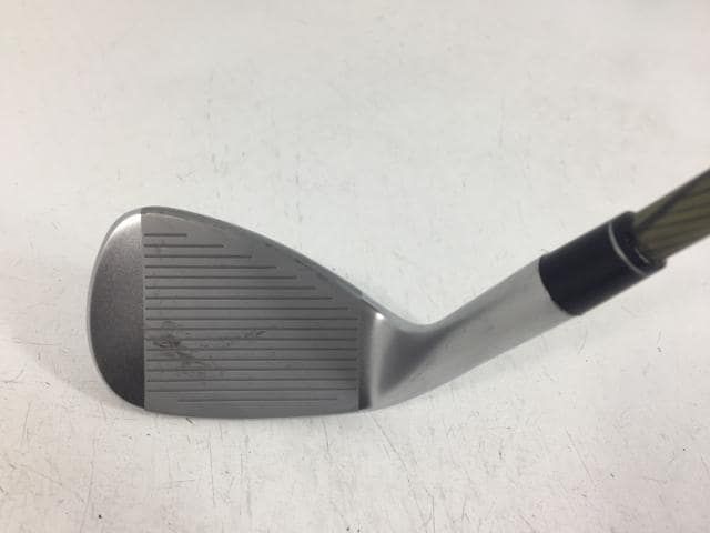 ゴルフクラブ EDEL イーデル SLS-01 シングルレングス アイアン PADERSON KINETIXX SINGLE LENGTH GW