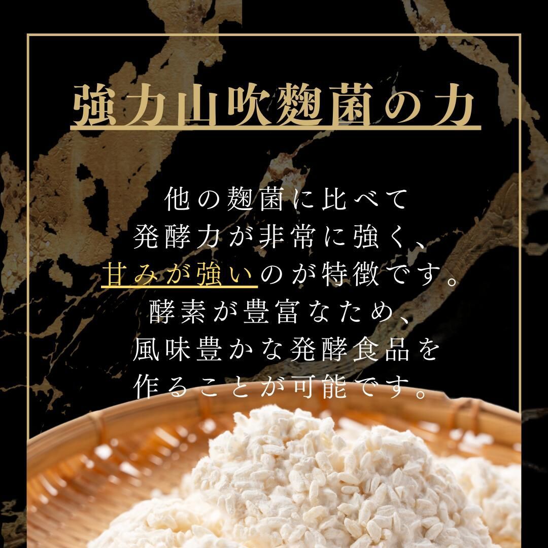 蔵元直送 強力山吹菌使用