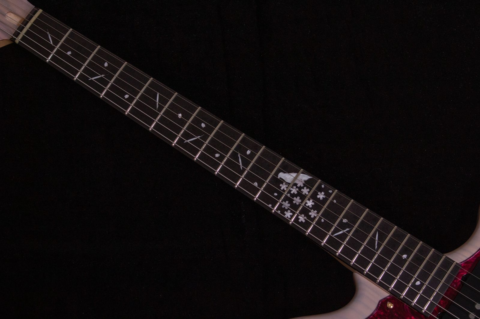 モヨ MOMOSE モモセ Limited Model MT-HOLLOW QT SP 25/E BK-B エレキ