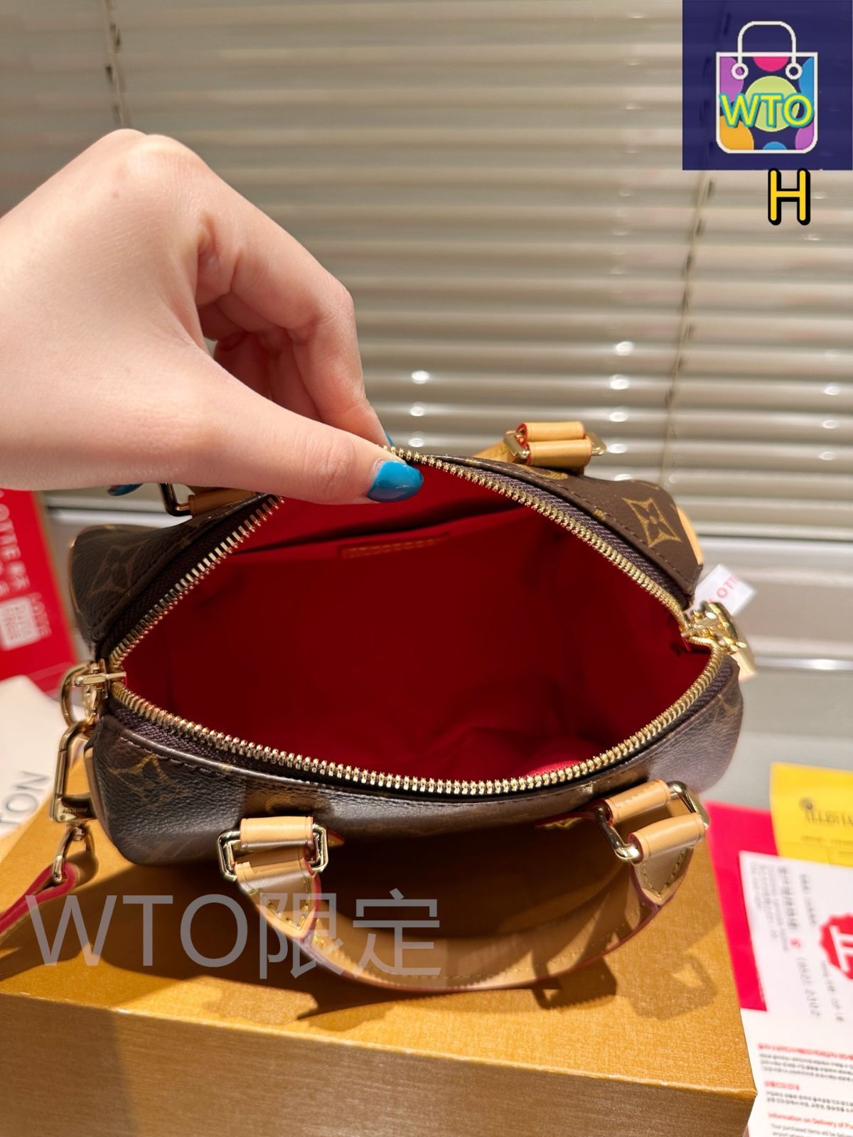 今日WTO】LV (Louis Vuitton) Speedy 20 ピローバッグ