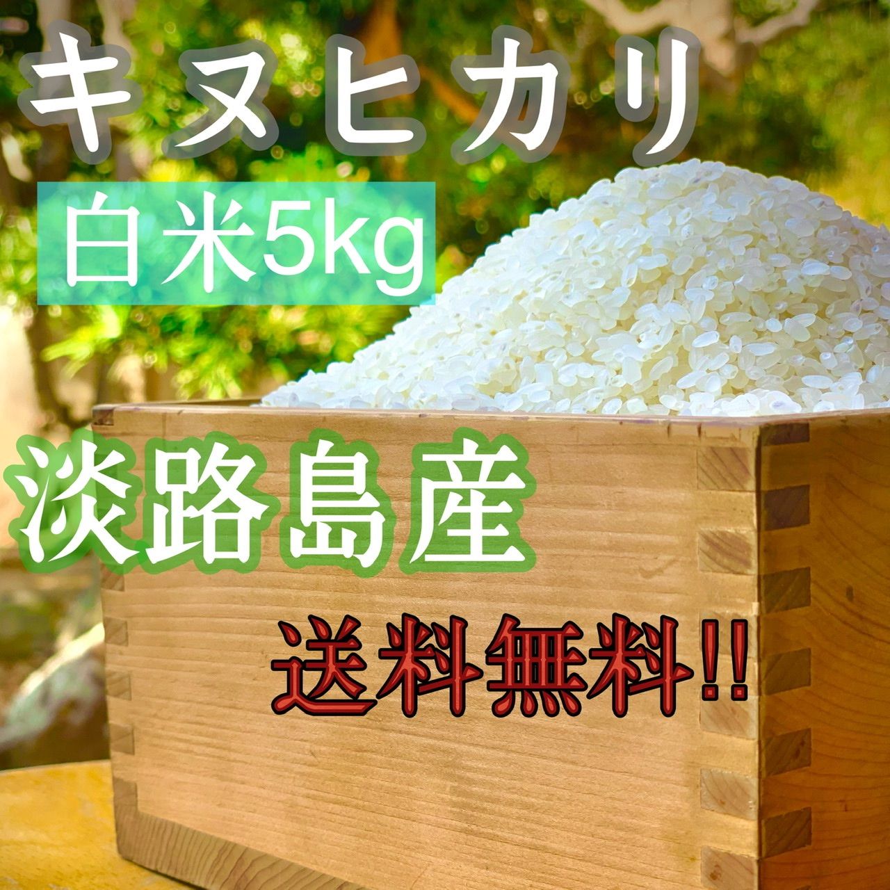 数量限定‼️新米 令和3年産 キヌヒカリ 玄米30キロ 淡路島産 30kg
