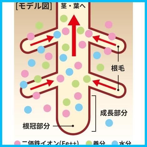 【数量限定】植物活力剤 栄養剤 2L メネデール 植物を元気に育てる 花から野菜から植木まで 100倍希釈 1955年発売