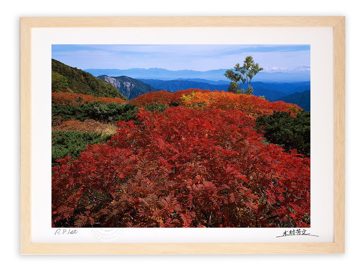 特売新入荷特価 アートフォト 絵画 壁掛け 色の洪水/白山/インテリア