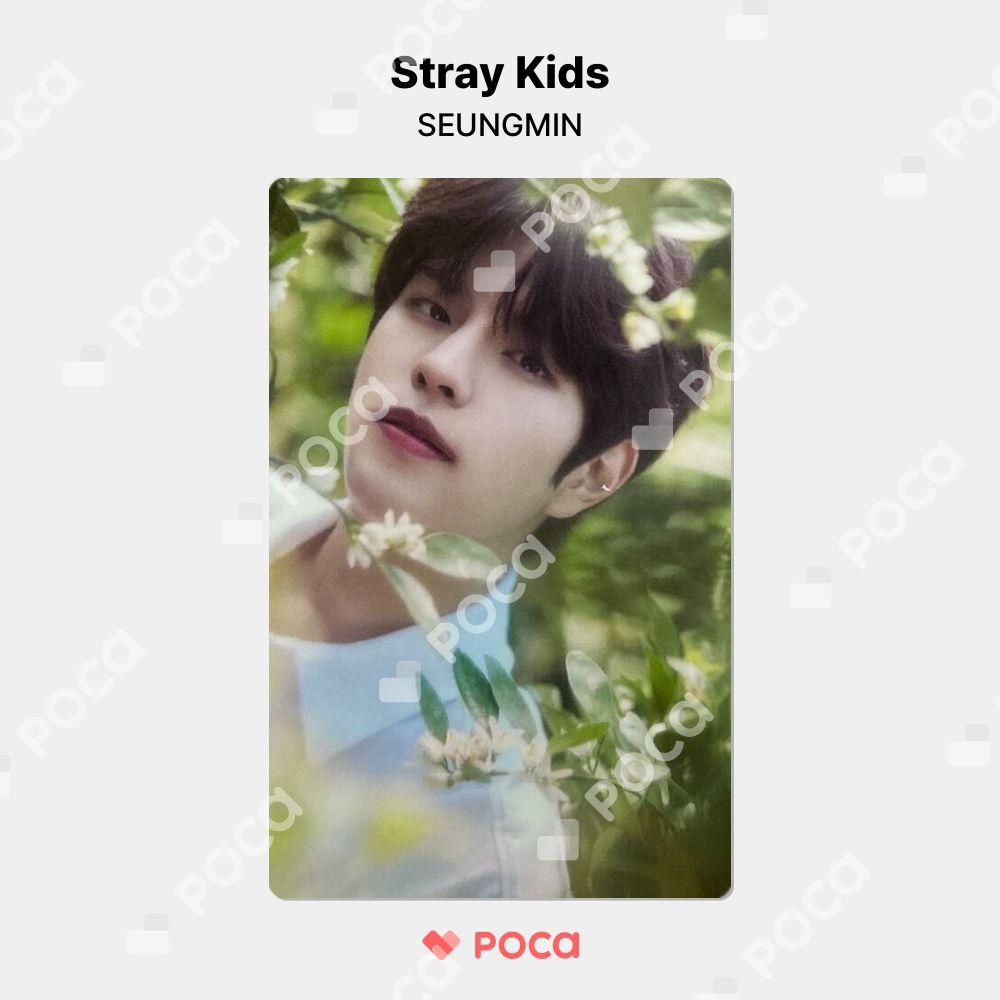 straykids スンミン スキズ トレカ 'Stay in STAY' JEJU