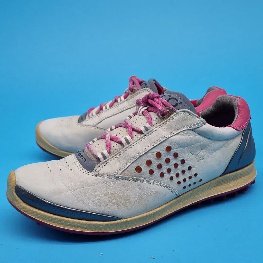 ゴルフシューズ 235 キャロウェイ Golfshoes Callaway シューズ