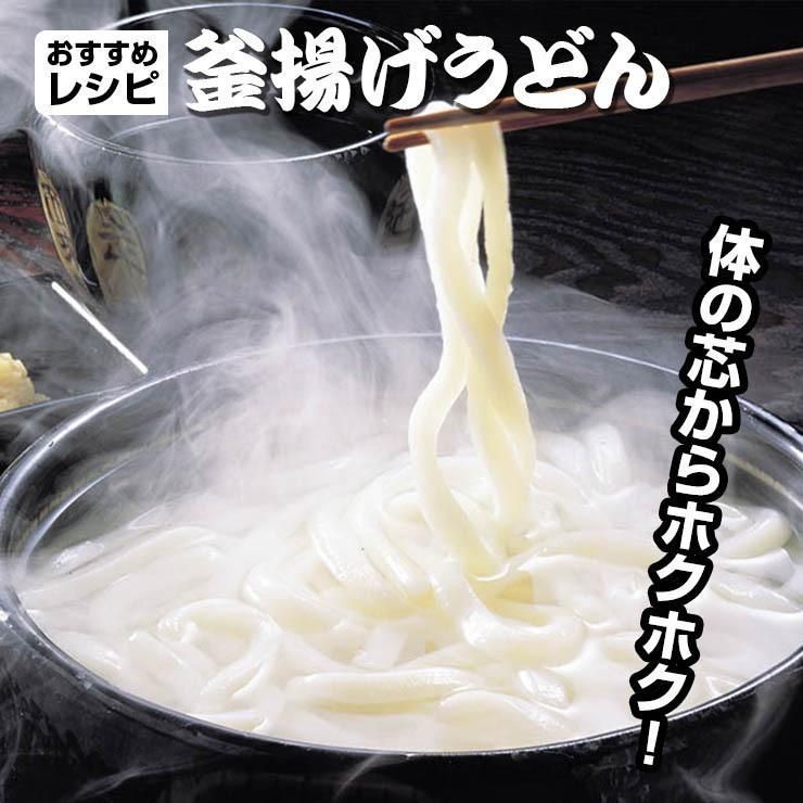 20時間熟成 半生 並麺 讃岐うどん つゆ付きセット 便利な個包装 750g 送料無料　A36