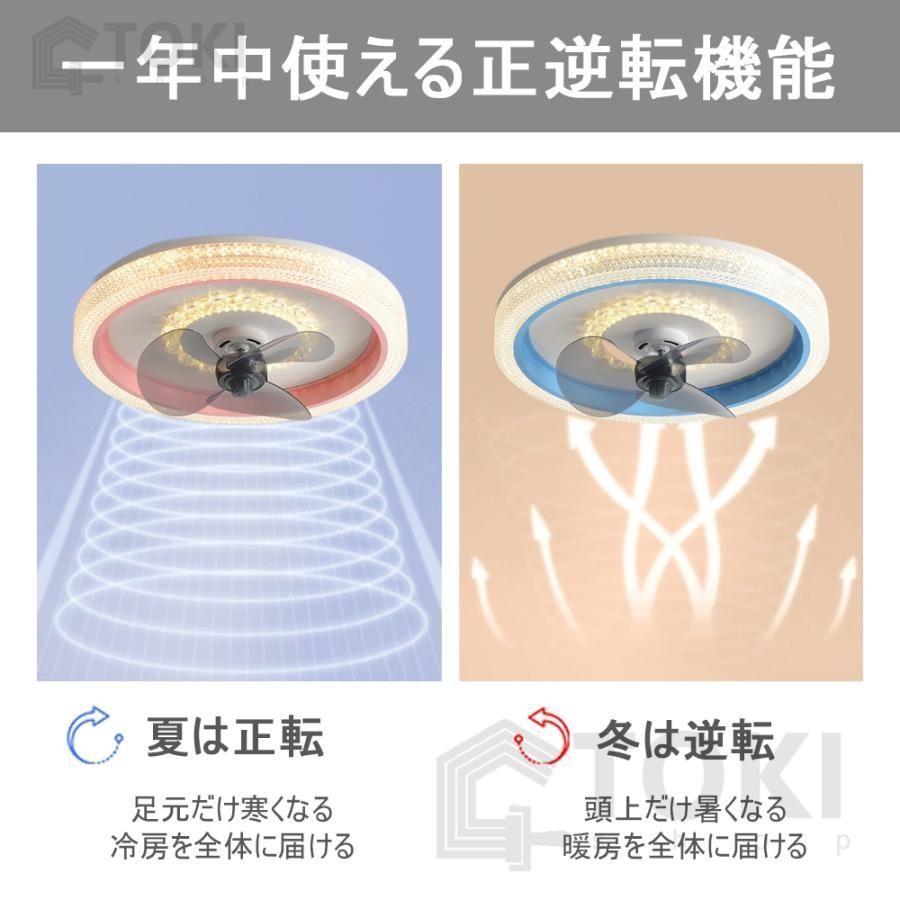 天井照明 扇風機