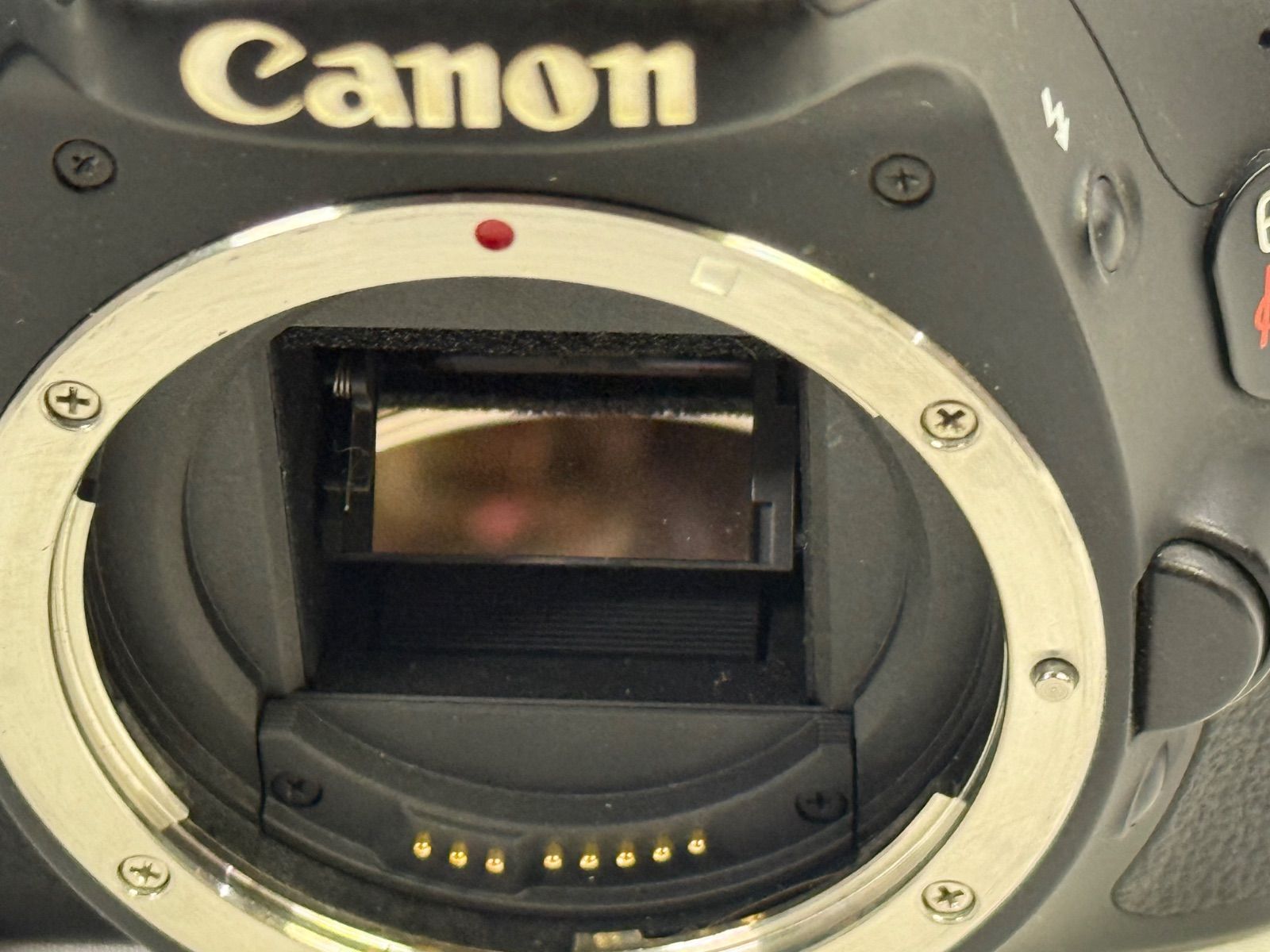 デジタル一眼レフカメラ