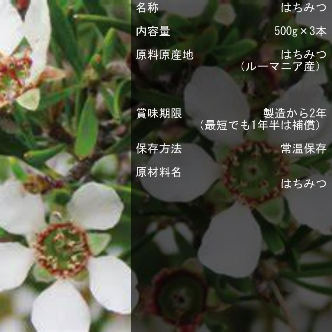 4【ルーマニア産 純粋はちみつ 500g×3本セット】 蜂蜜 ハチミツ