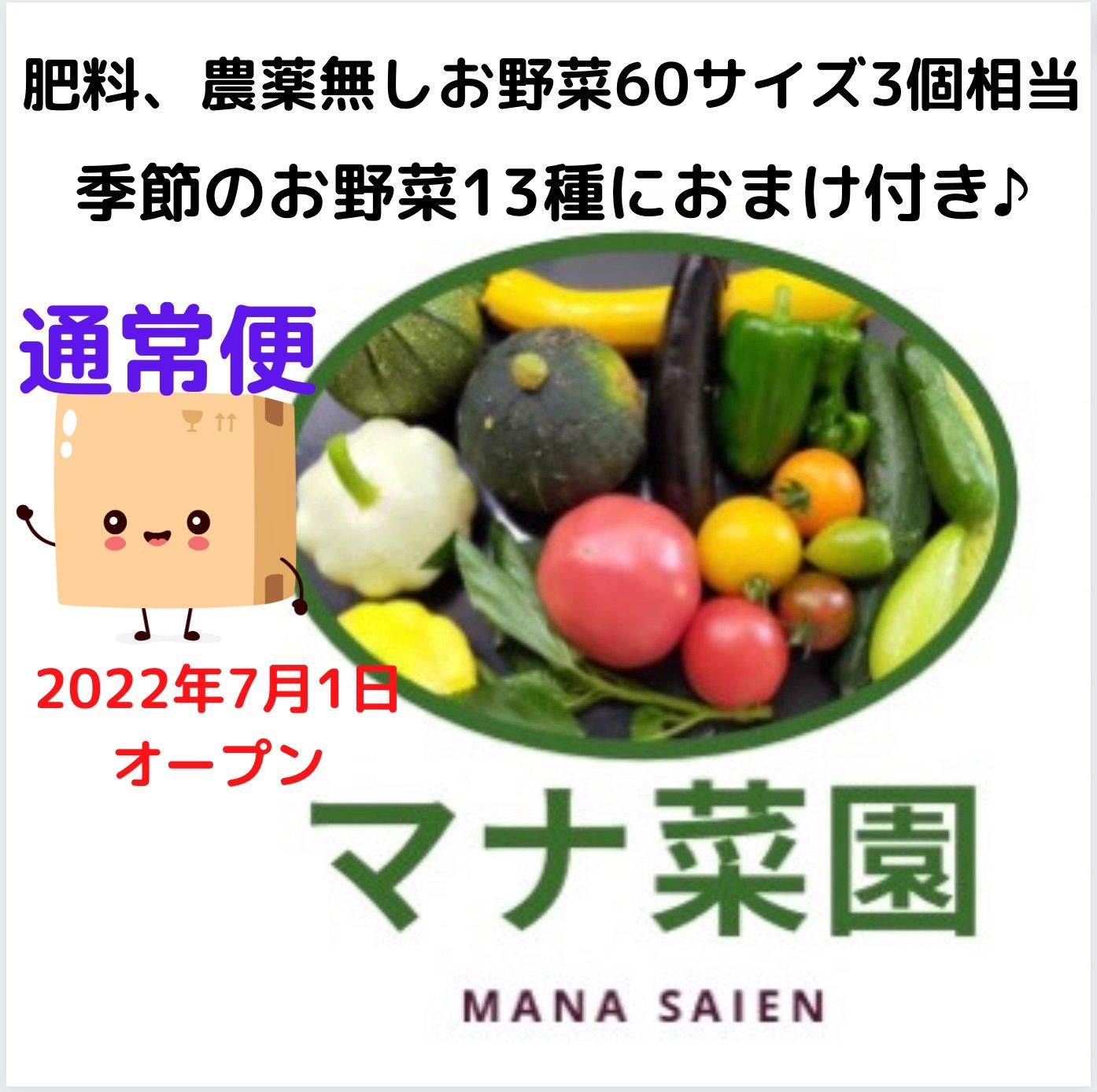 季節の野菜③コンパクト　野菜詰め合わせセット　農薬不使用