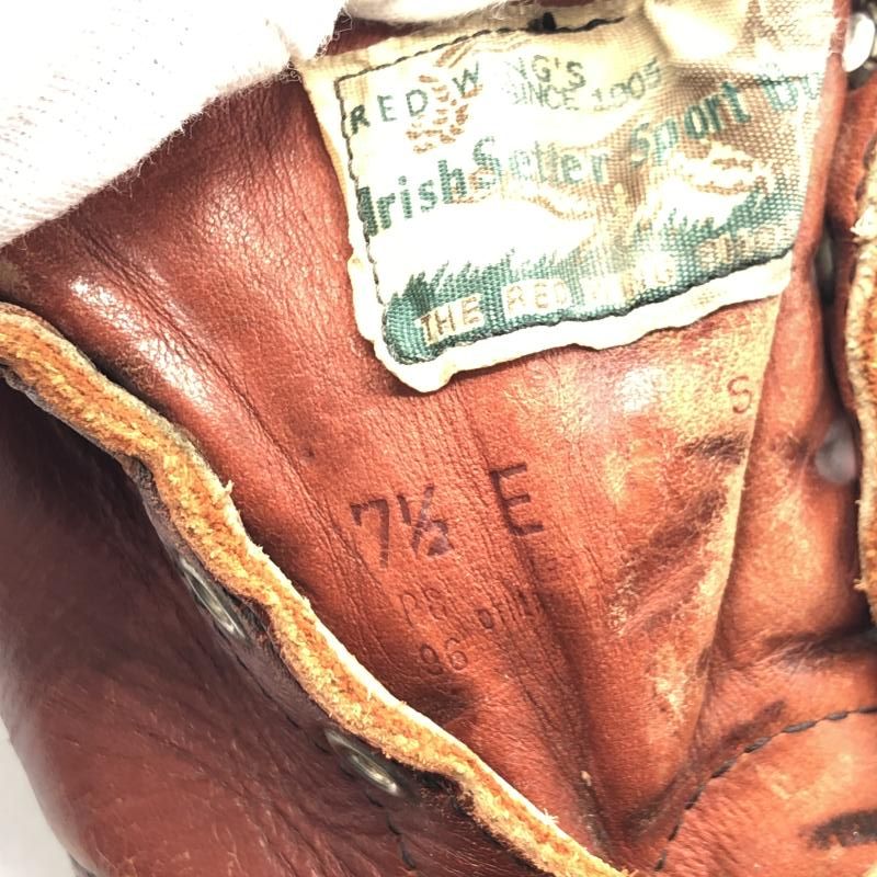 アイリッシュセッター 7