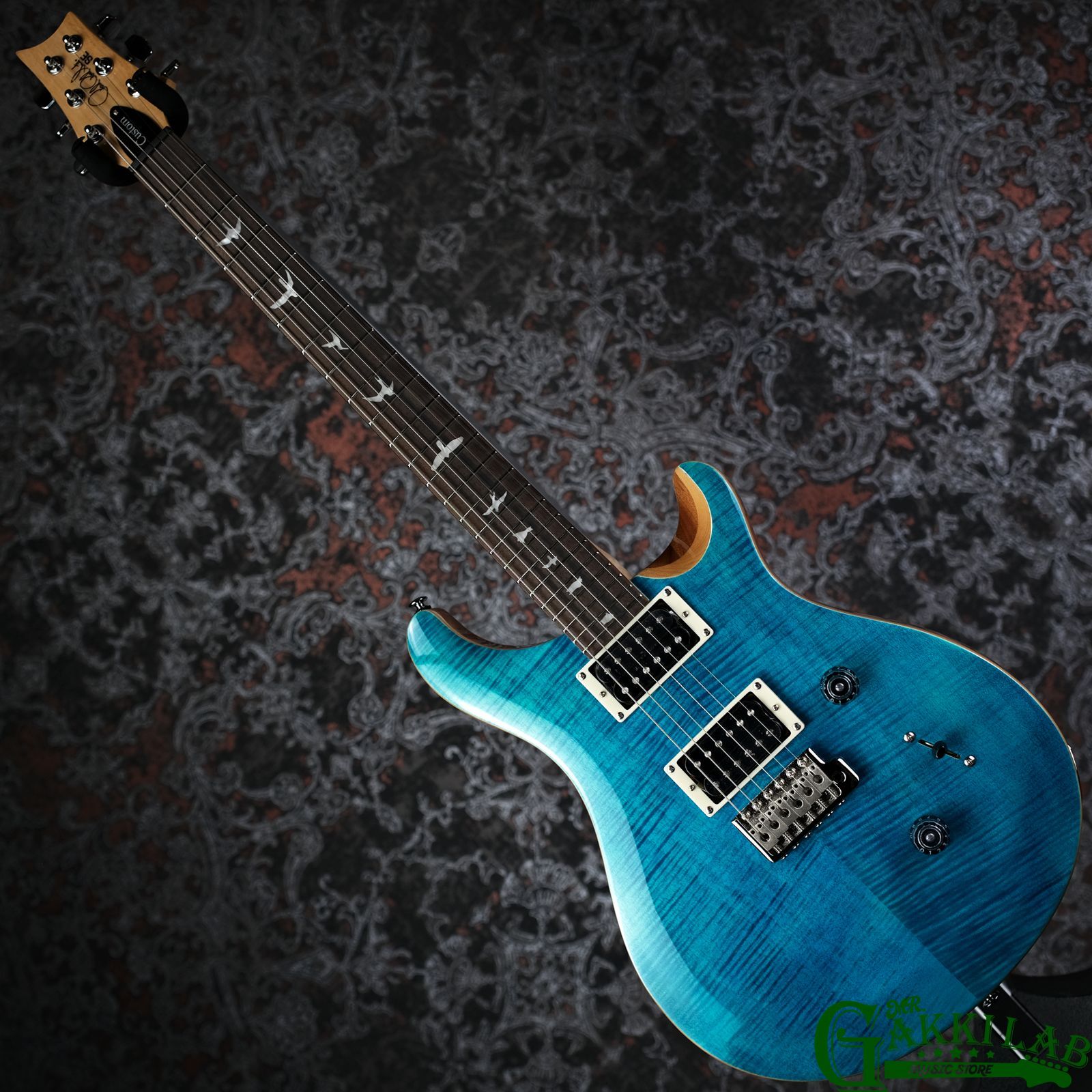 Paul Reed Smith(PRS) 2025 SE Custom 24 Blue Matteo Natural Back