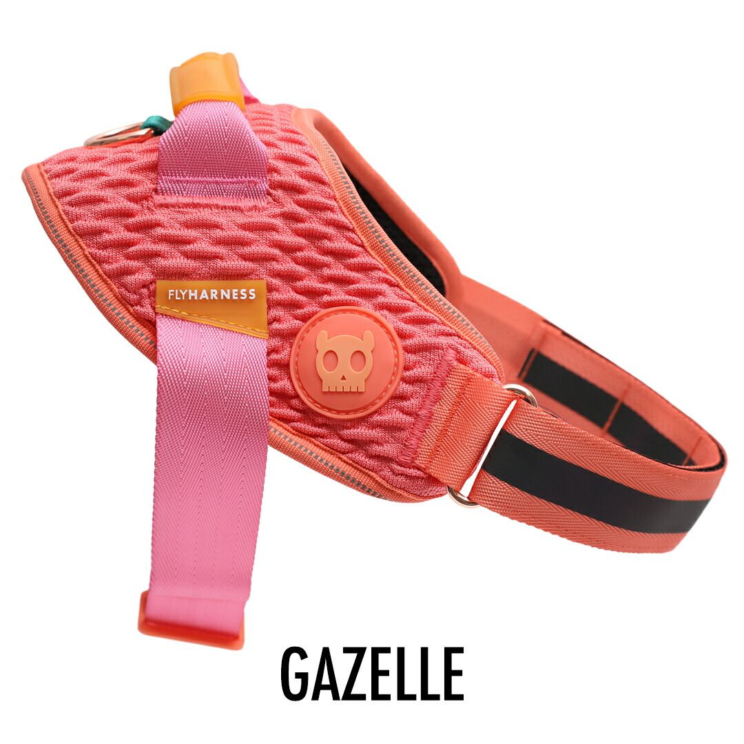 FLY HARNESS|フライハーネス