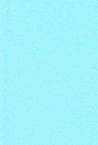 大得価，新作 [人気商品]A4_100枚_みずいろ エスケント 色画用紙 A4 みずいろ 100枚 221106 応募券