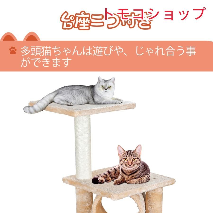 猫用