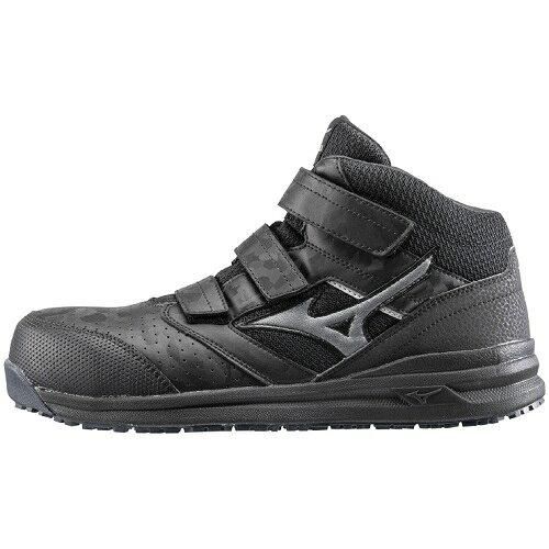 ドイツPM Fitline C-Balance 2セット
