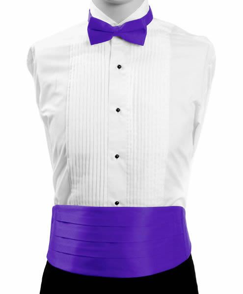 カマーバンド＆蝶タイ パープル 礼装 タキシード