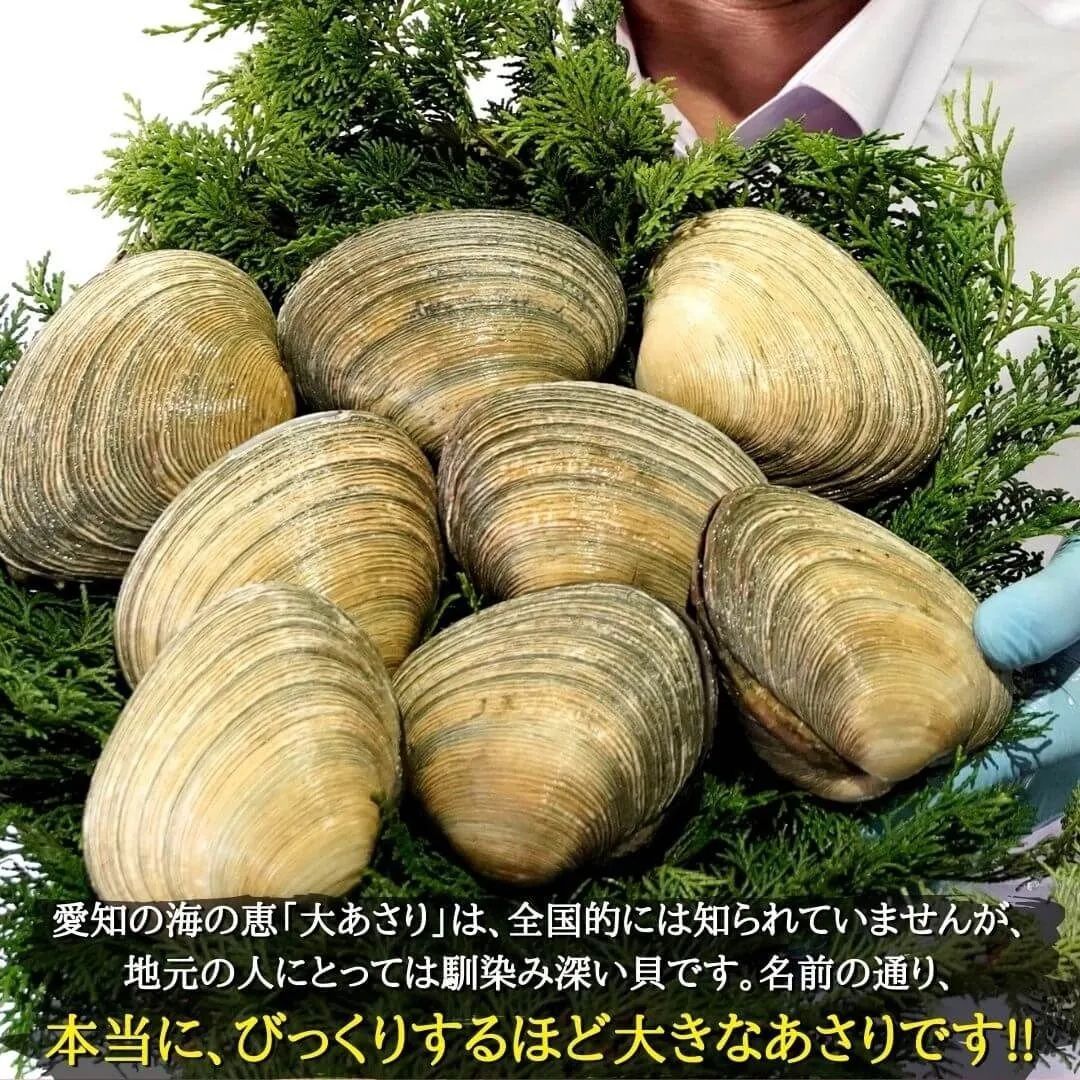 愛知産・天然特上大アサリ3kg＋専用だし醤油3本(300ml×3)セット（海鮮 BBQ バーベキュー）手洗い・半割・下処理済みであとは焼くだけ！CAS冷凍で新鮮そのもの