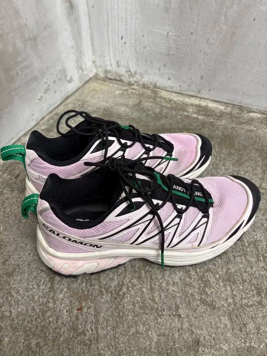 SALOMON サロモン Sandy Liang サンディーリアン XT ー 6 250 HRDEVELOPMENT_JP